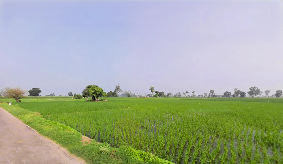 Munak, Haryana 132040, India