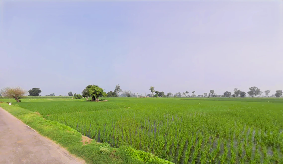 Munak, Haryana 132040, India