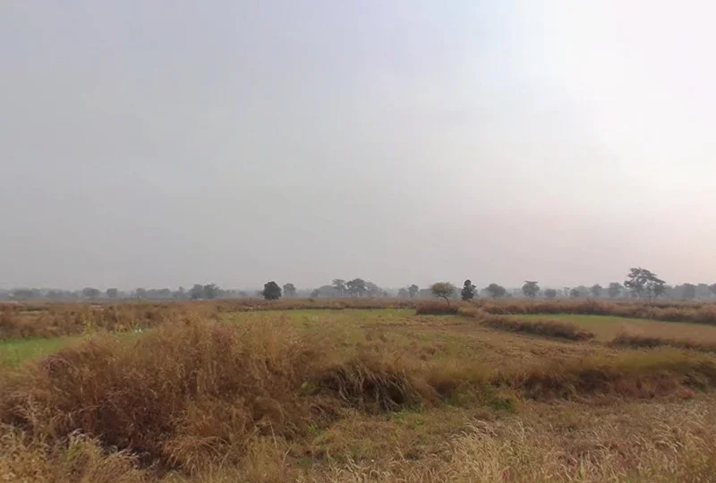 Cheriya, Chhattisgarh 493661, India preview 2