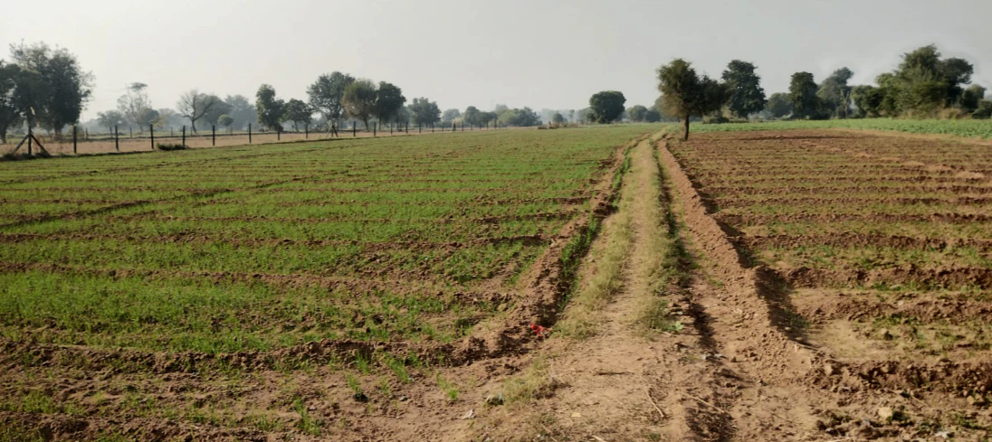 M685+R82, Bhojpur, Rajasthan, India