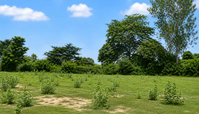 Kabrai, Mahoba, Uttar Pradesh 210424, India preview 3