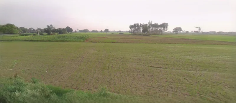 Saharanpur, Uttar Pradesh, India preview 2