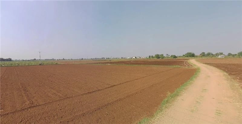 Mankol, Gujarat, India