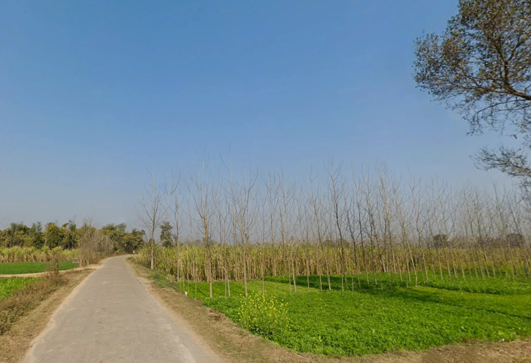 Pilkhani, Uttar Pradesh 247451, India
