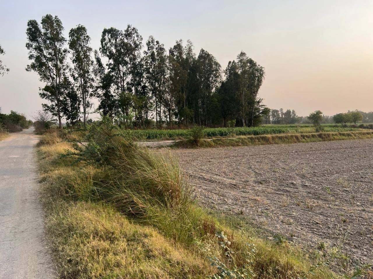 Saidpur, Nizampur Khurd, Haryana 131402, India preview 4