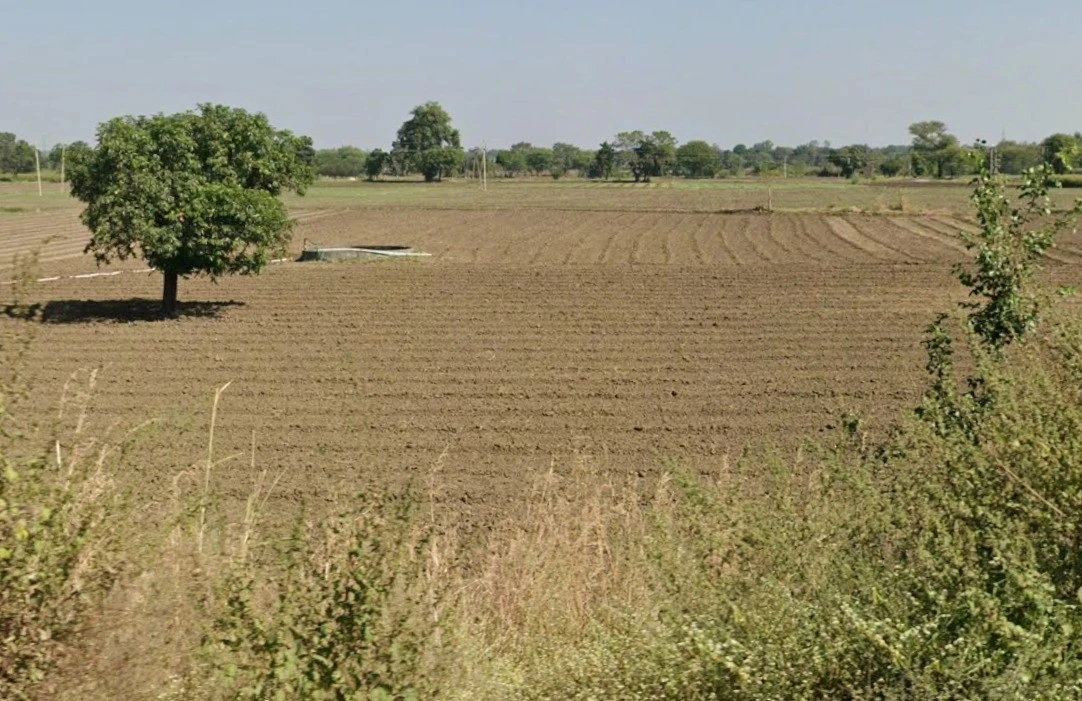 22G9+W8M, Ichhawar, Madhya Pradesh 466115, India