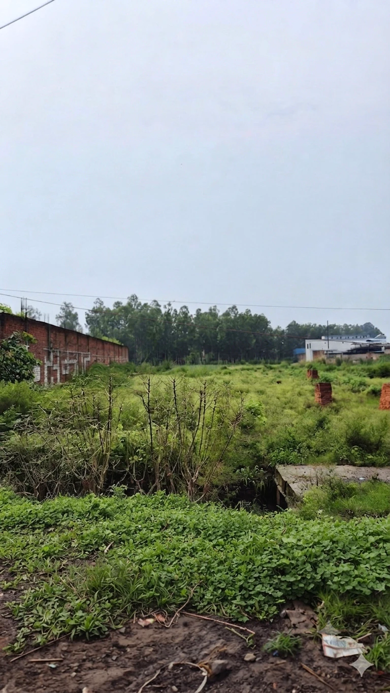 QGJC+755, Yusufpur Manota, Uttar Pradesh, India
