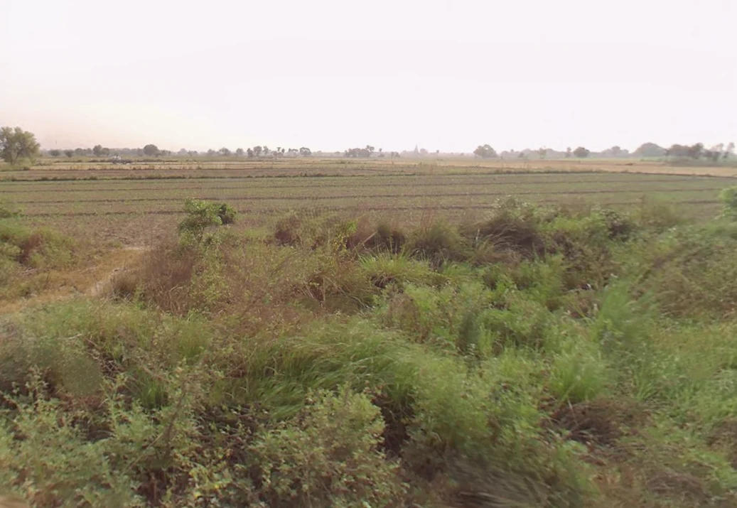 Khurja, Uttar Pradesh 203131, India preview 2