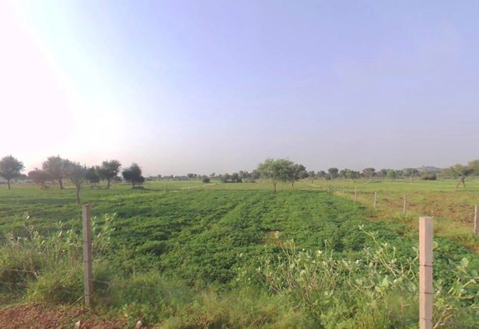 Vedaant Gyan Valley, Village-Jharna, Mahala Jobner Link Road, Jaipur Ajmer Express Way, NH-8, Vedant Gyan Velly, Jharna, Rajasthan 303122, India