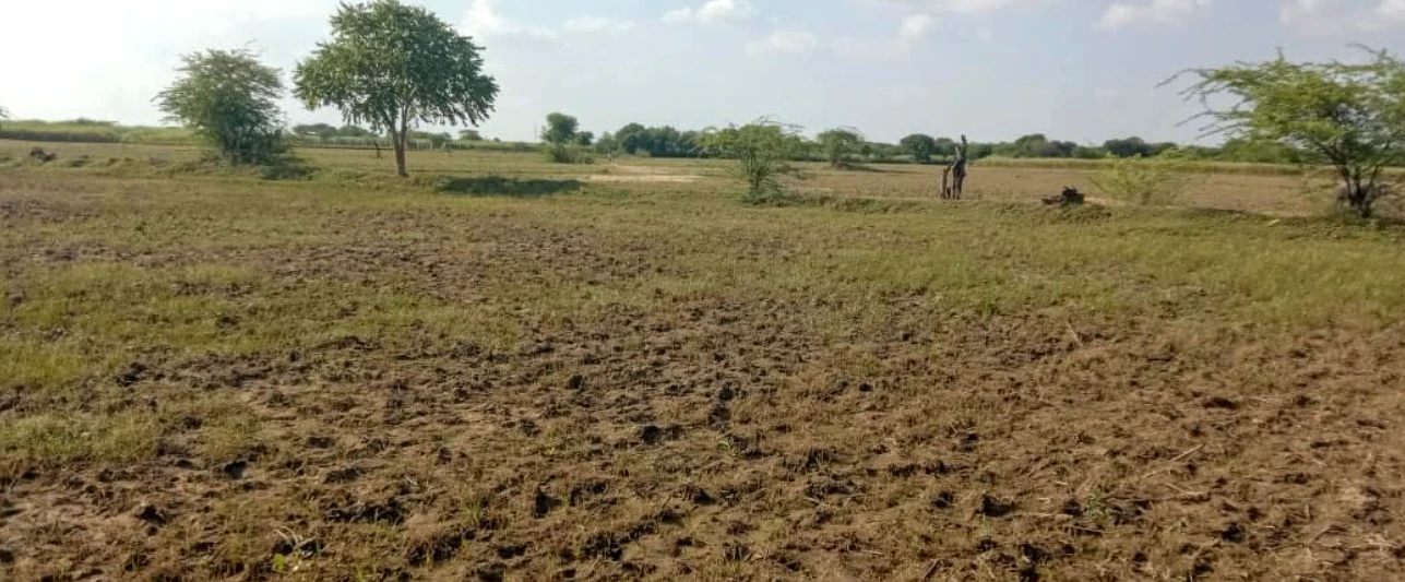 Sector-21, Rohtak, Haryana, India