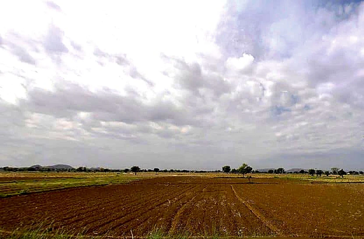Beejwa, Rajasthan, India