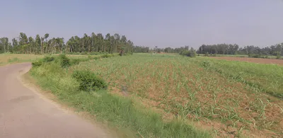 Shyampur, Uttar Pradesh 245101, India preview 2