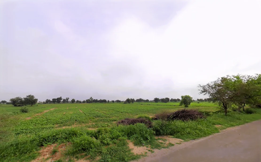 Budak, Haryana 125004, India