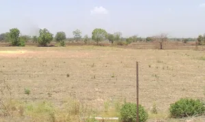 Berchha, Madhya Pradesh 465110, India preview 3