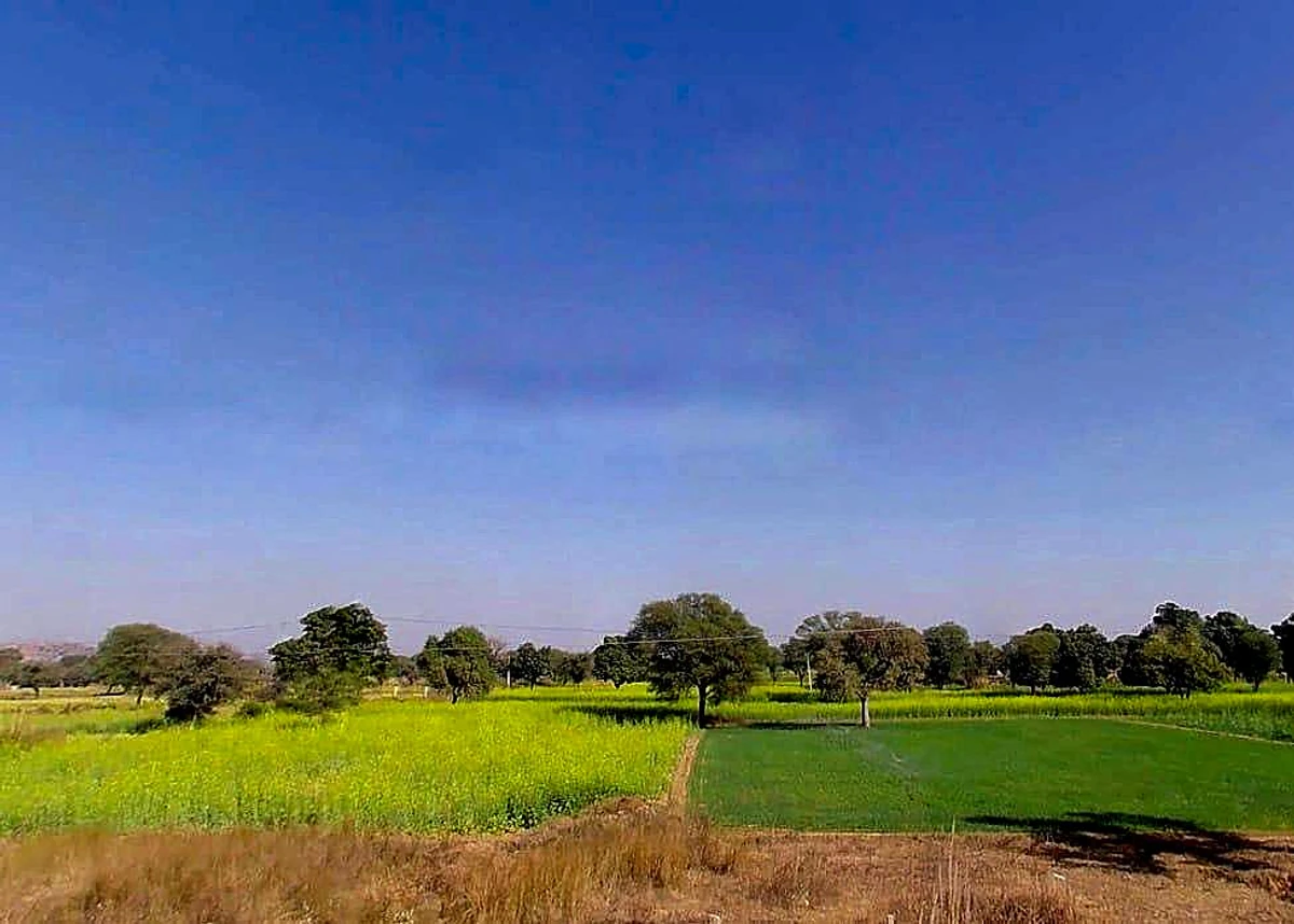 Shahpura, Rajasthan 303103, India