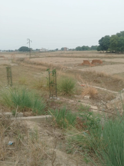 7QQ6+RV, Varanasi, Mirzamurad, Tribhuvanpur, Uttar Pradesh 221307, India