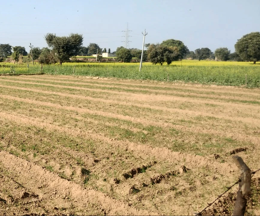 Sodarpur, Raisen, Madhya Pradesh 464570, India