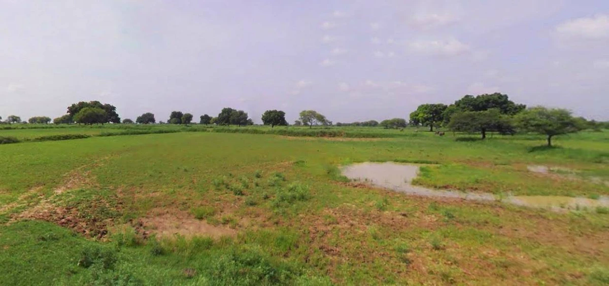 Kolayat, Rajasthan 334302, India
