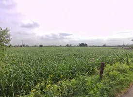 4562+WQF, NH 21, Halena, Rajasthan 321601, India preview 3