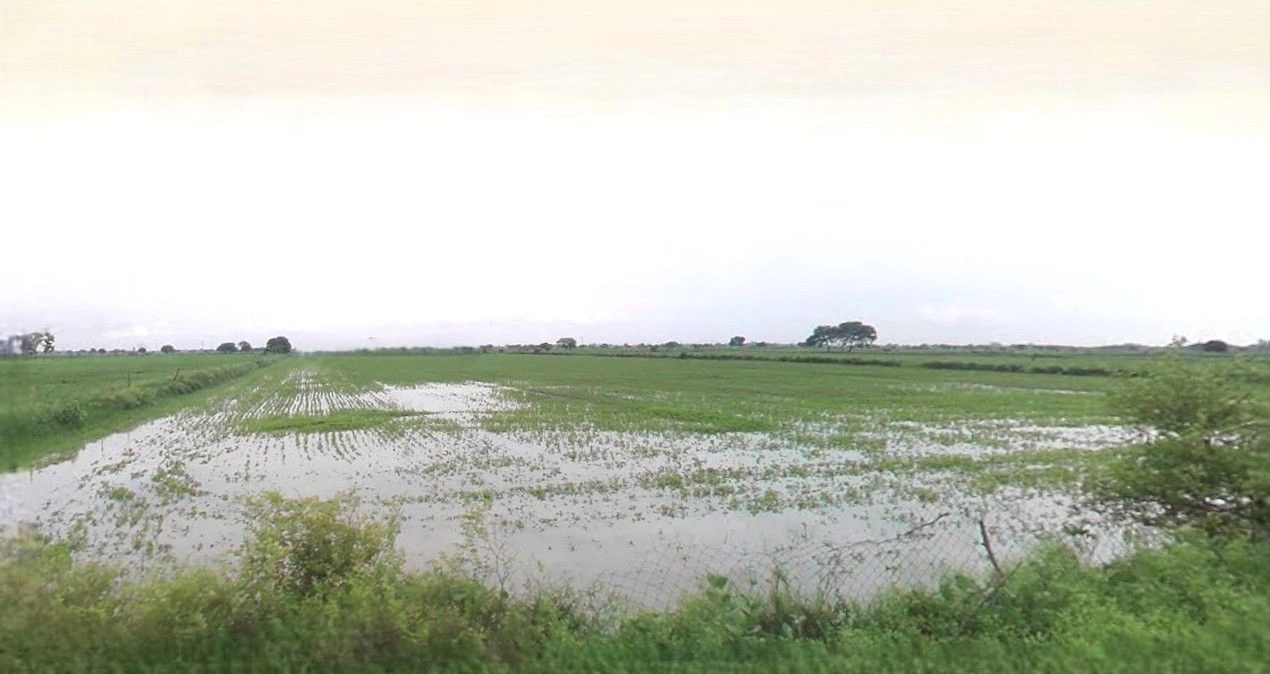 Rampur Maniharan, Uttar Pradesh 247451, India preview 3