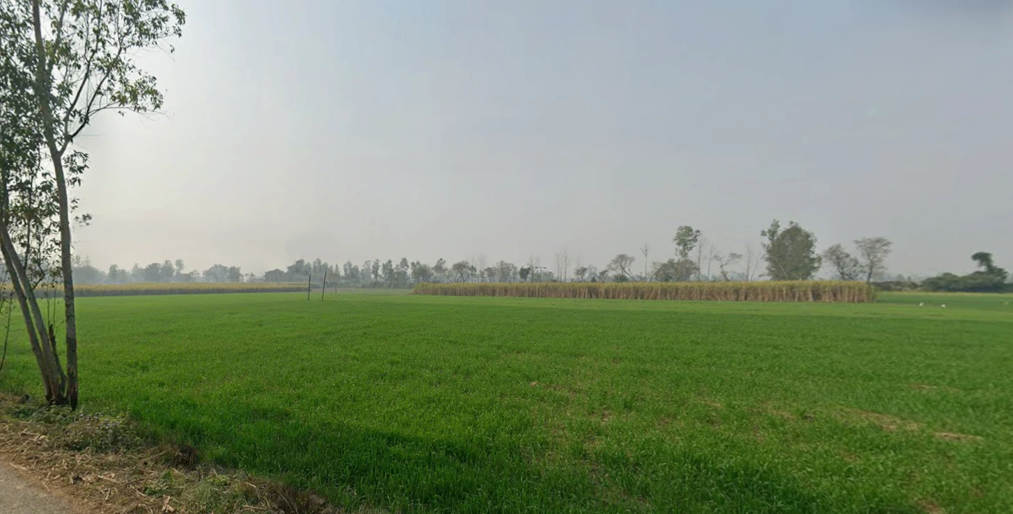 Bhagwanpur, Uttarakhand 247661, India