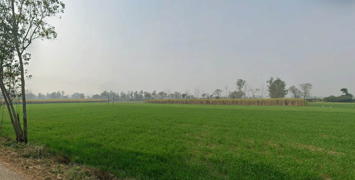 Bhagwanpur, Uttarakhand 247661, India