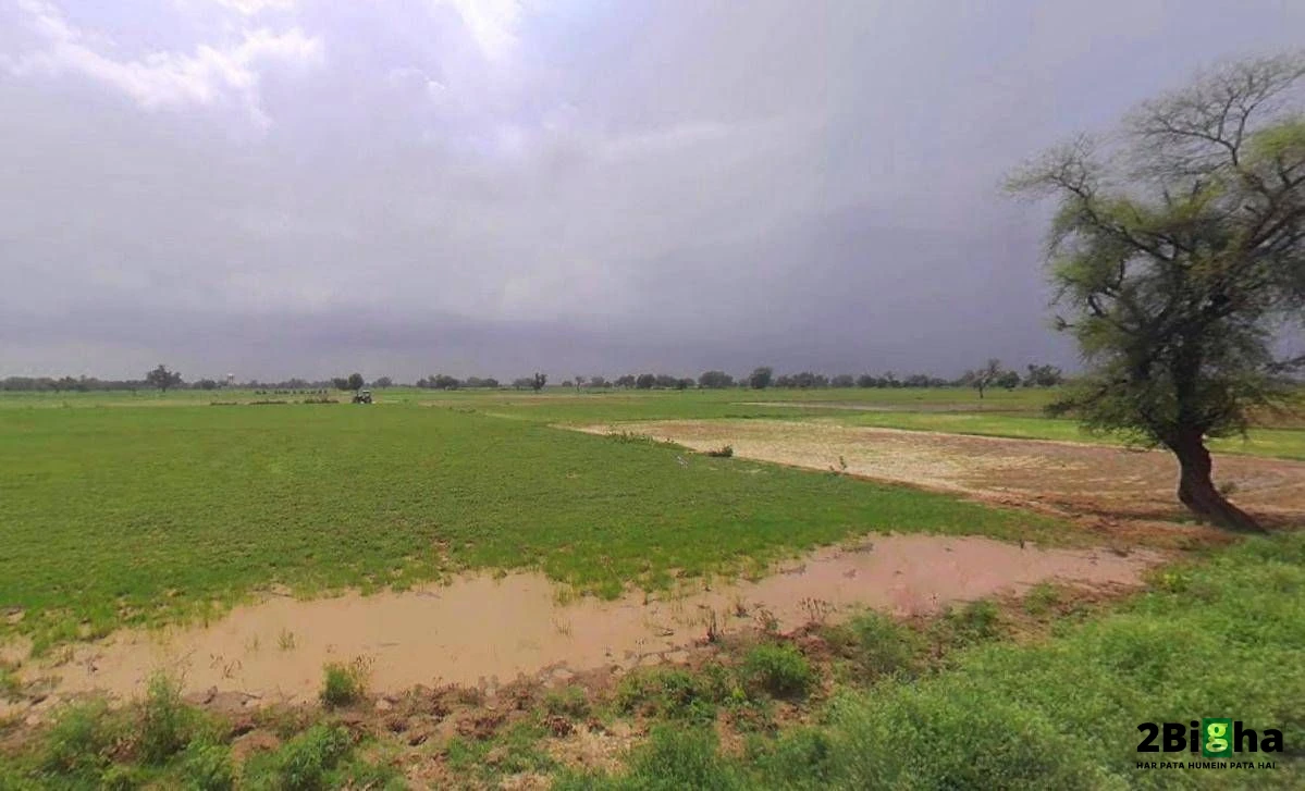 Gharaunda, Haryana 132114, India