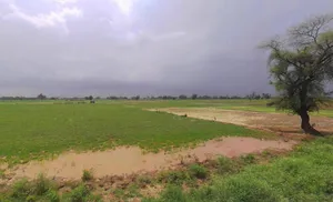 Gharaunda, Haryana 132114, India preview 3