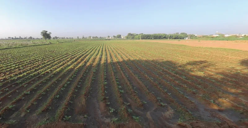 Piparala, Gujarat 364150, India preview 3