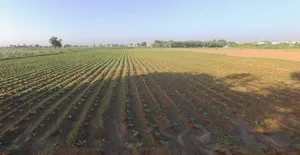 Piparala, Gujarat 364150, India preview 3