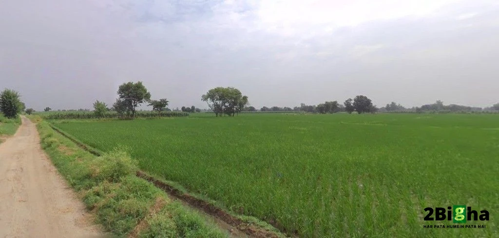 Bhogpur, Punjab 144201, India