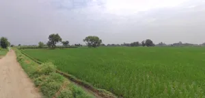 Bhogpur, Punjab 144201, India preview 3