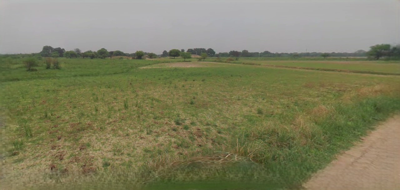 Suratgarh, Rajasthan 335804, India