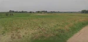 Suratgarh, Rajasthan 335804, India preview 2