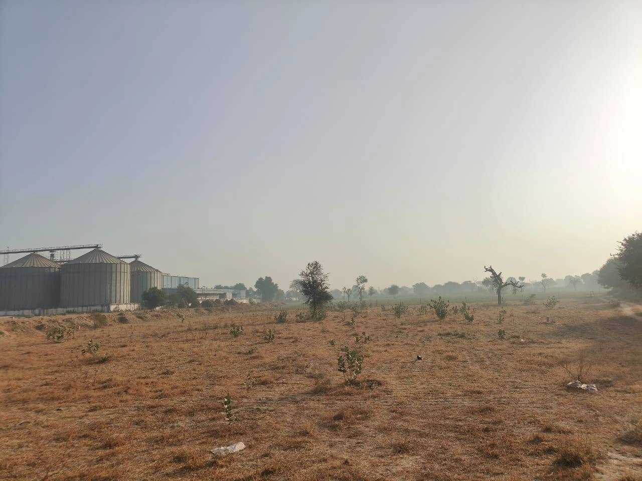 Barwa, Haryana 127045, India