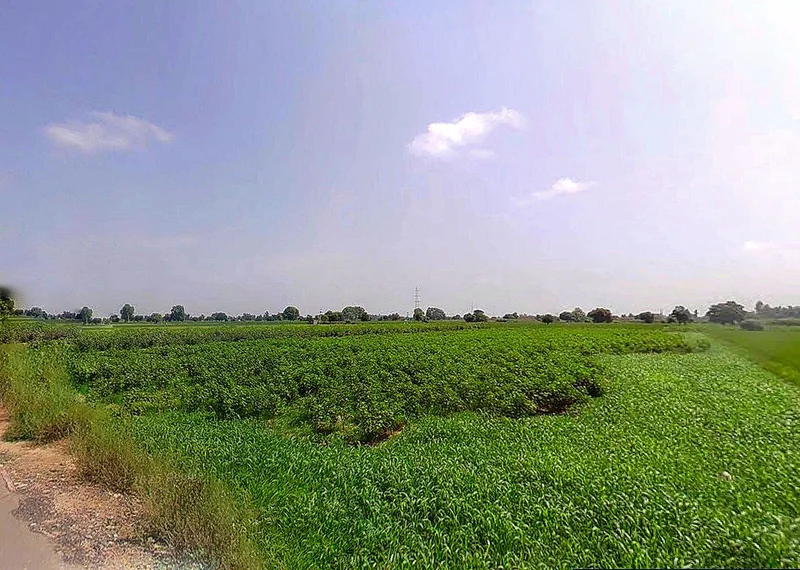 Konark Rd, Konark, Odisha 752111, India preview 2