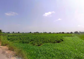 Konark Rd, Konark, Odisha 752111, India preview 2