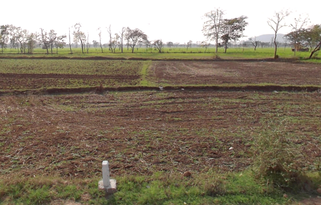 Udaipur, Chhattisgarh 497117, India