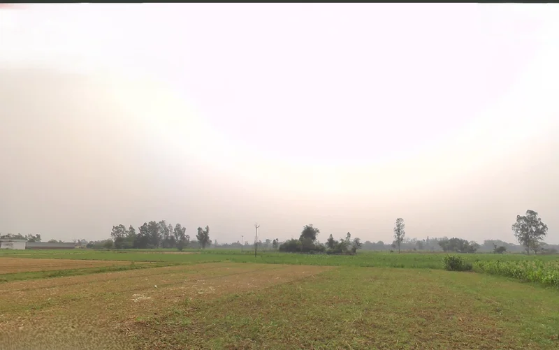 Raiwala, Uttarakhand 249205, India preview 2