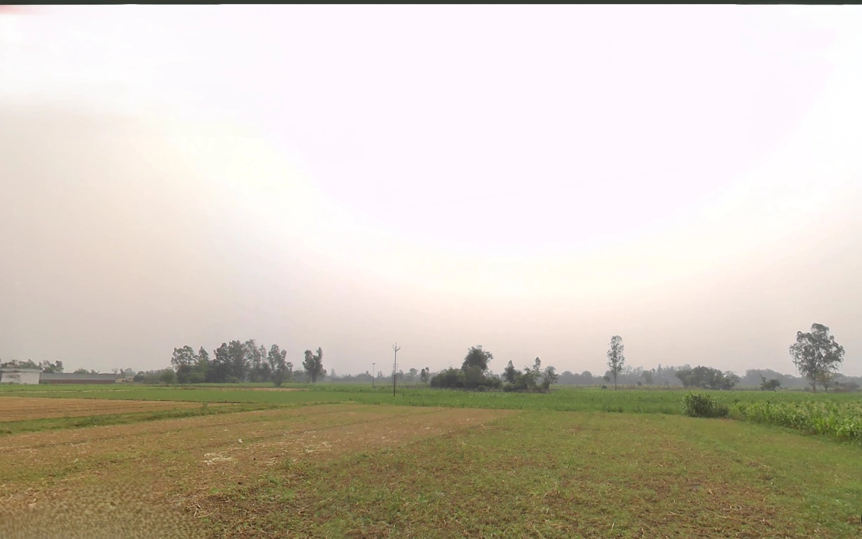 Raiwala, Uttarakhand 249205, India