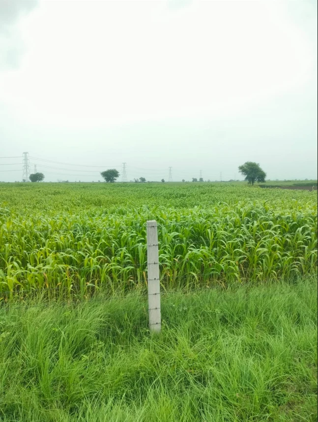 Devnagar, Jaipur, Rajasthan 303005, India