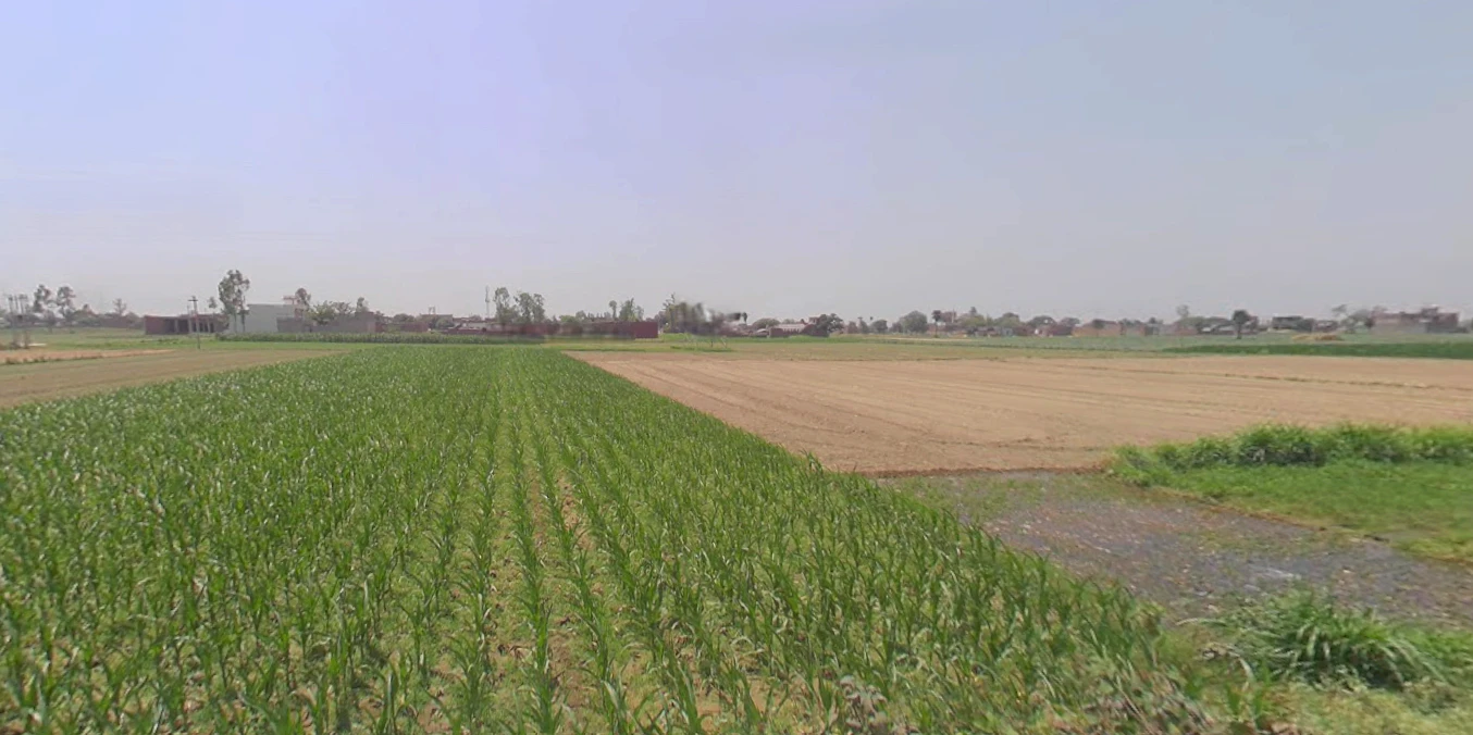 Thakurdwara, Uttar Pradesh 244601, India