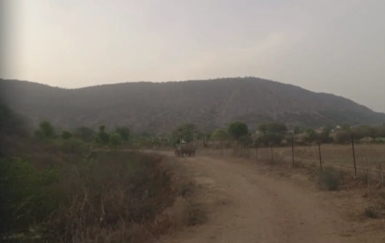 GH3G+P8, Alwar, Umren, Rajasthan 301001, India
