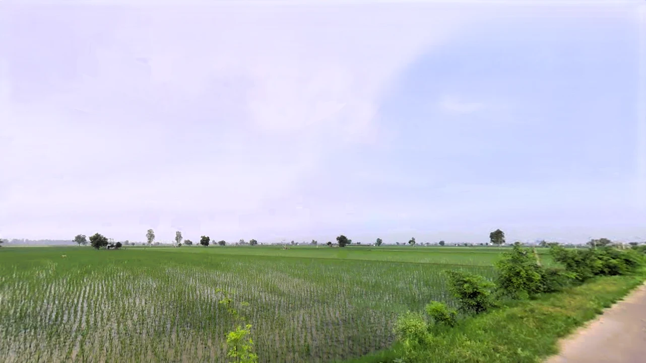 Assandh, Haryana 132039, India