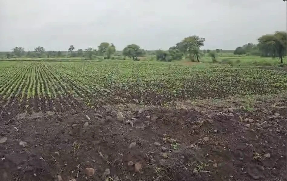 Sunheti Kharkhari, Saharanpur, Uttar Pradesh 247551, India