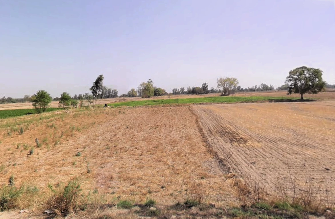 Bass, Haryana 125042, India