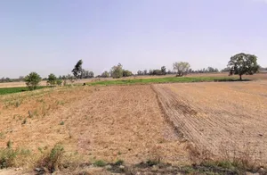 Bass, Haryana 125042, India preview 3