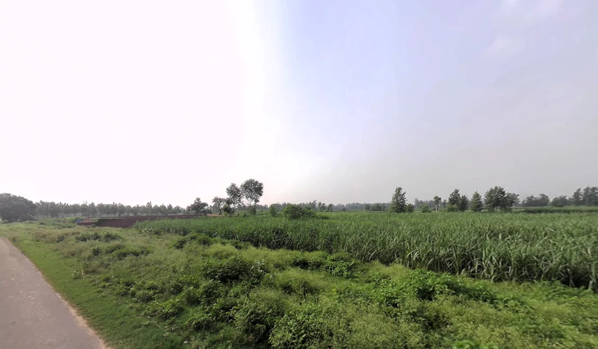 Nakur, Uttar Pradesh 247342, India