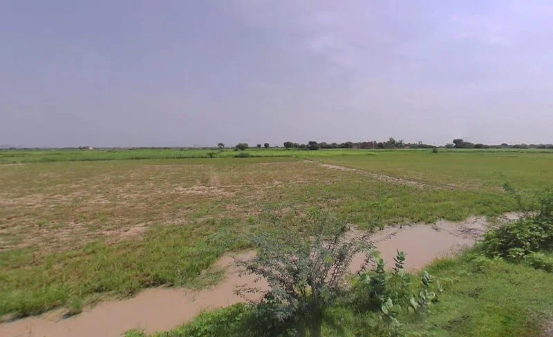 Pahari, Rajasthan, India preview 3