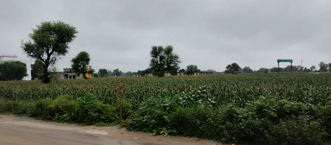 Nurpur Bedi, Punjab 140117, India